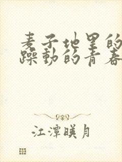 麦子地里的故事躁动的青春小说