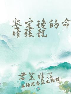 鉴定后的命运周晴张龙