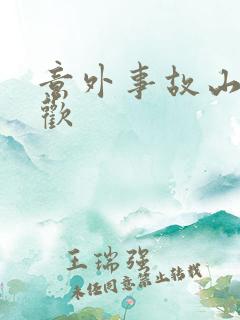 意外事故山月辞欢