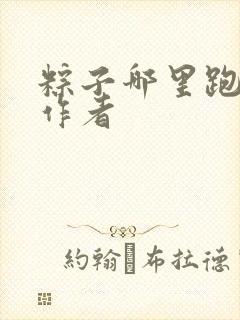 粽子哪里跑小说作者