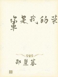 你是我的荣耀肉车