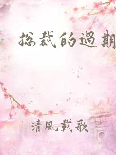 总裁的过期情人