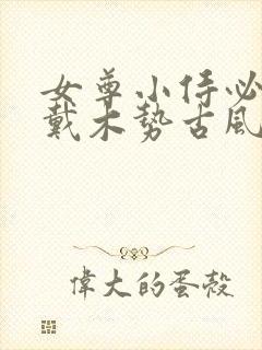 女尊小侍必须佩戴木势古风
