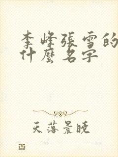 李峰张雪的书叫什么名字