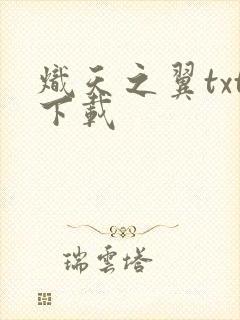 炽天之翼txt下载