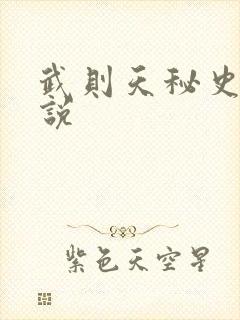 武则天秘史 小说