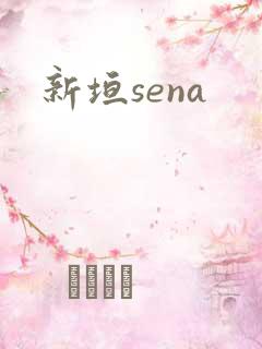 新垣sena