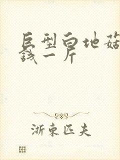 巨型白地菇多少钱一斤