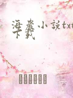 海岩小说txt下载