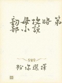 韵母攻略第12部小说