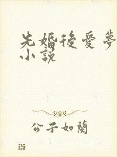 先婚后爱梦筱二小说