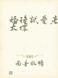 婚后试爱老公别太坏