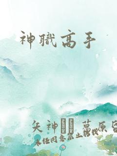 神职高手