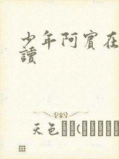 少年阿宾在线阅读