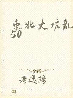 东北大坑乱1—50