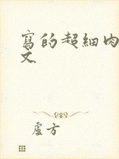 写的超细肉汁水文