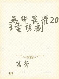 无所畏惧2023电视剧