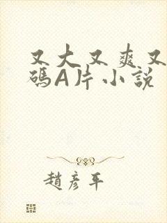 又大又爽又黄无码A片小说