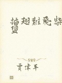 插翅难飞柴米油盐