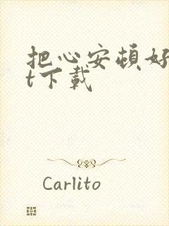 把心安顿好txt下载