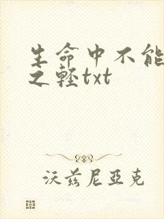 生命中不能承受之轻txt