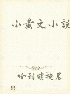 小黄文小说