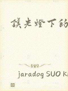 镁光灯下的孕夫