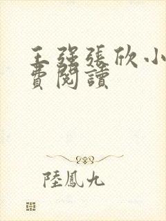 王强张欣小说免费阅读