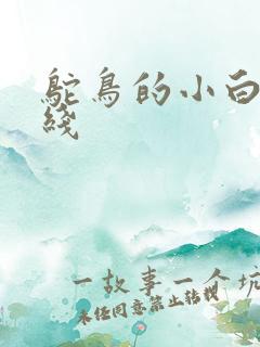 鸵鸟的小白脸路线
