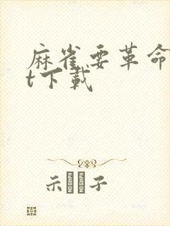 麻雀要革命txt下载