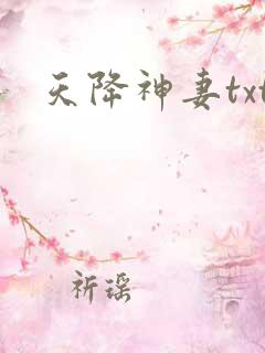 天降神妻txt