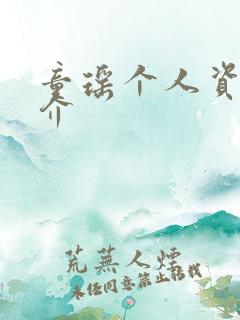 童瑶个人资料简介