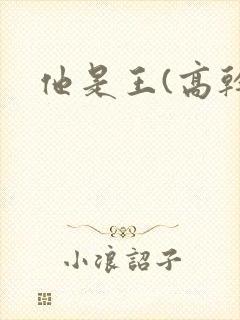 他是王(高干)