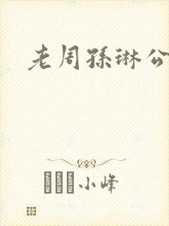 老周孙琳公交车