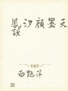 凤汐颜墨天问小说