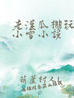 老汉瓜棚玩小丹小雪小说