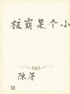 校霸是个小妖精