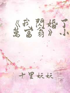 《我闪婚了个亿万富翁》小说