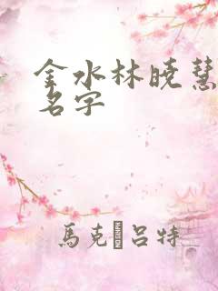 金水林晓慧小说名字