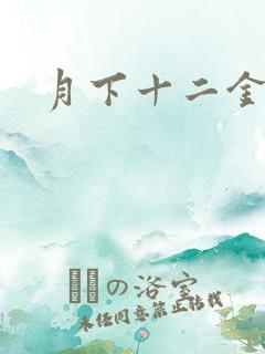 月下十二金钗