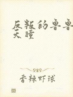 反叛的鲁鲁修之天瞳