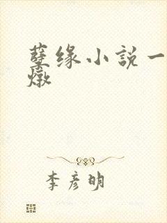 孽缘小说一家乱炖