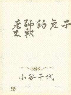 老师的兔子又大又软