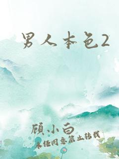 男人本色2