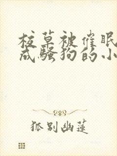 校草被催眠洗脑成骚狗的小说