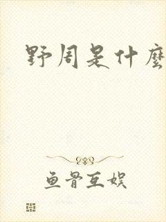 野周是什么意思