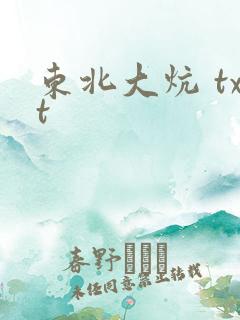 东北大炕 txt