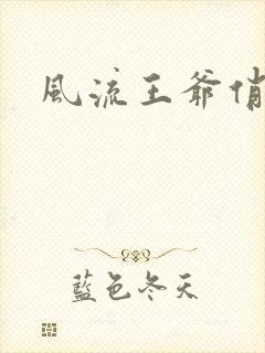 风流王爷俏相公