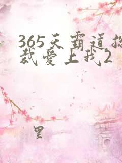 365天霸道总裁爱上我2