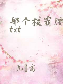 那个校霸腰好软txt